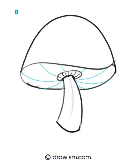 Make Lovely Stylized Fantasy Mushroom Drawings Step By Step