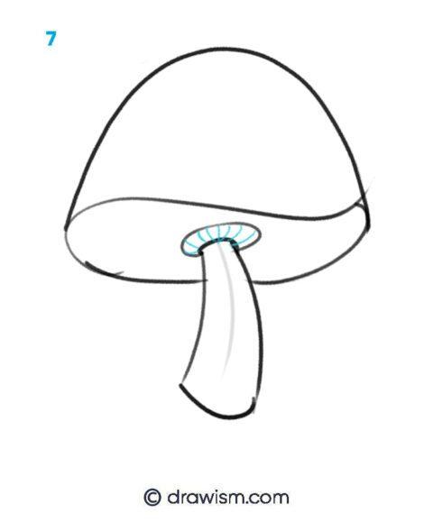 Make Lovely Stylized Fantasy Mushroom Drawings Step by Step