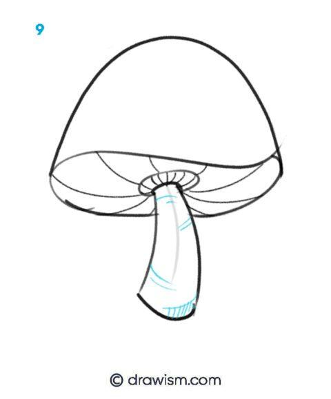 Make Lovely Stylized Fantasy Mushroom Drawings Step by Step