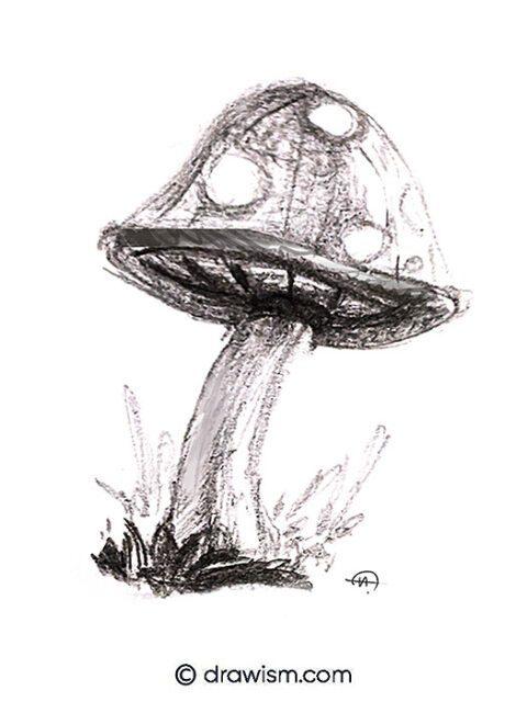 10 Dreamy Fantasy Mushroom Drawing Ideas to Try Now